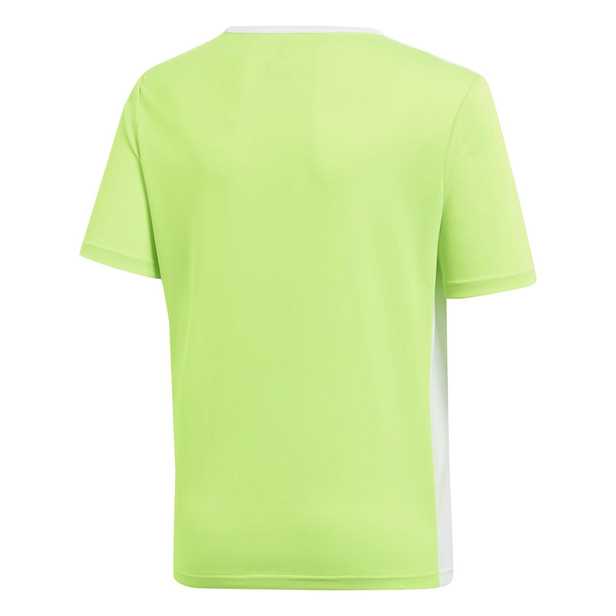 product/a/d/adidas_ce9755_3_apparel_photography_back_center_view_white-nw112824.jpg