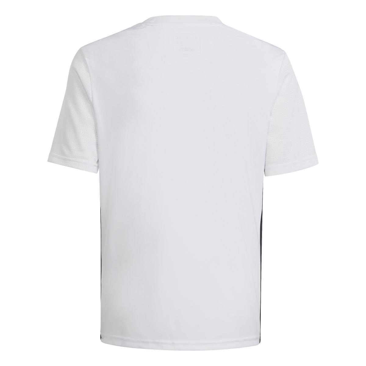 product/a/d/adidas_h44534_3_apparel_photography_back_center_view_white.jpg