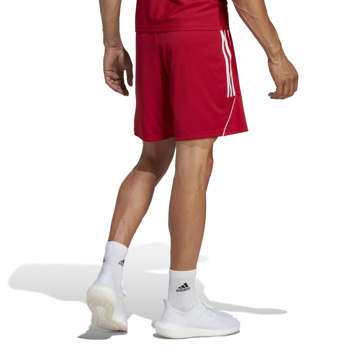 product/a/d/adidas_ib8082_5_apparel_on_model_back_view_white-nw032624.jpg