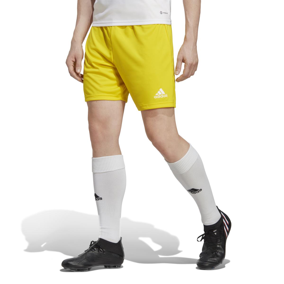 product/a/d/adidas_ic7404_3_apparel_on_model_standard_view_white.jpg