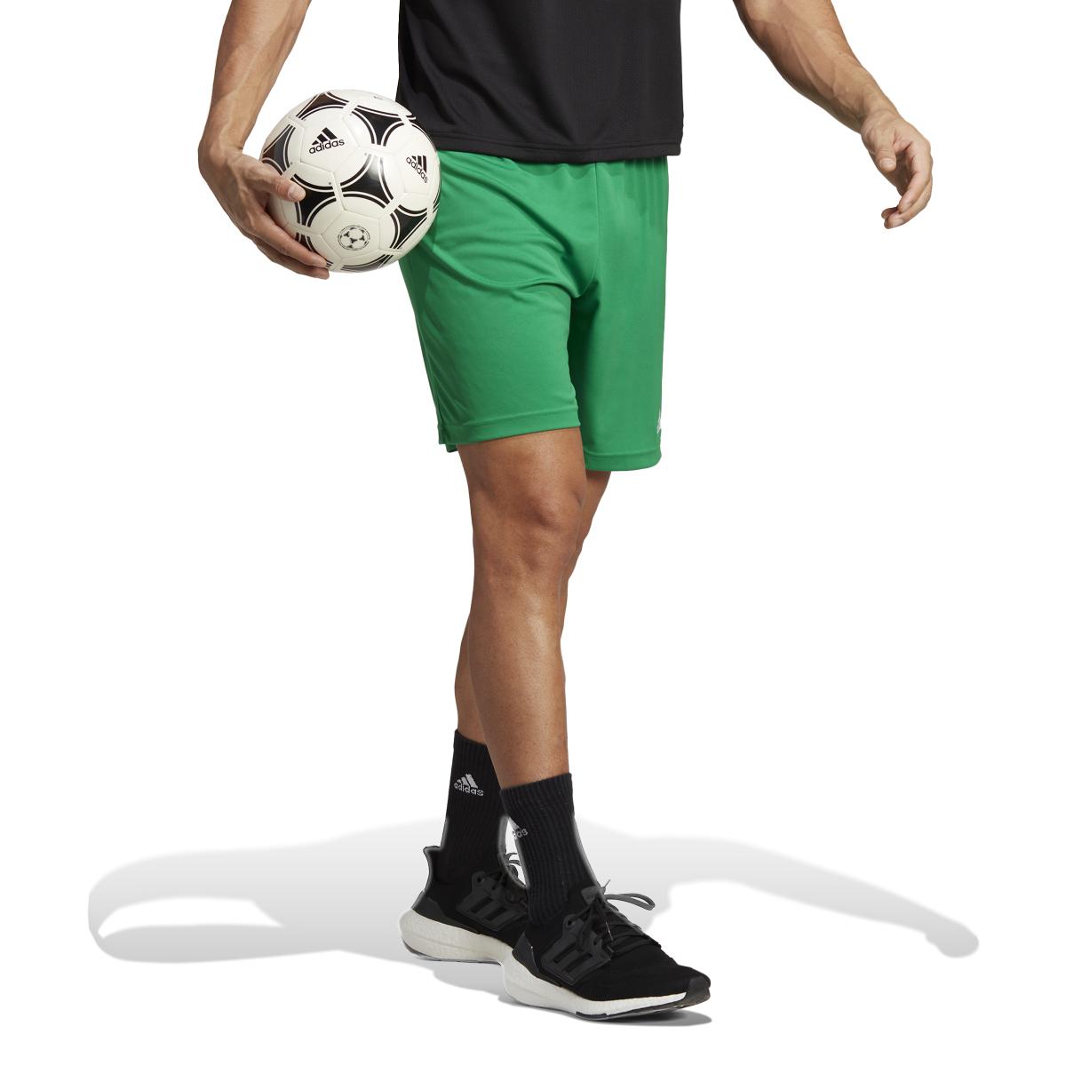 product/a/d/adidas_ic7405_5_apparel_on_model_walking_view_white.jpg