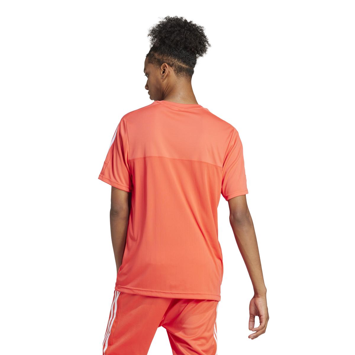 product/a/d/adidas_il5662_5_apparel_on_model_back_view_white-nw052224.jpg