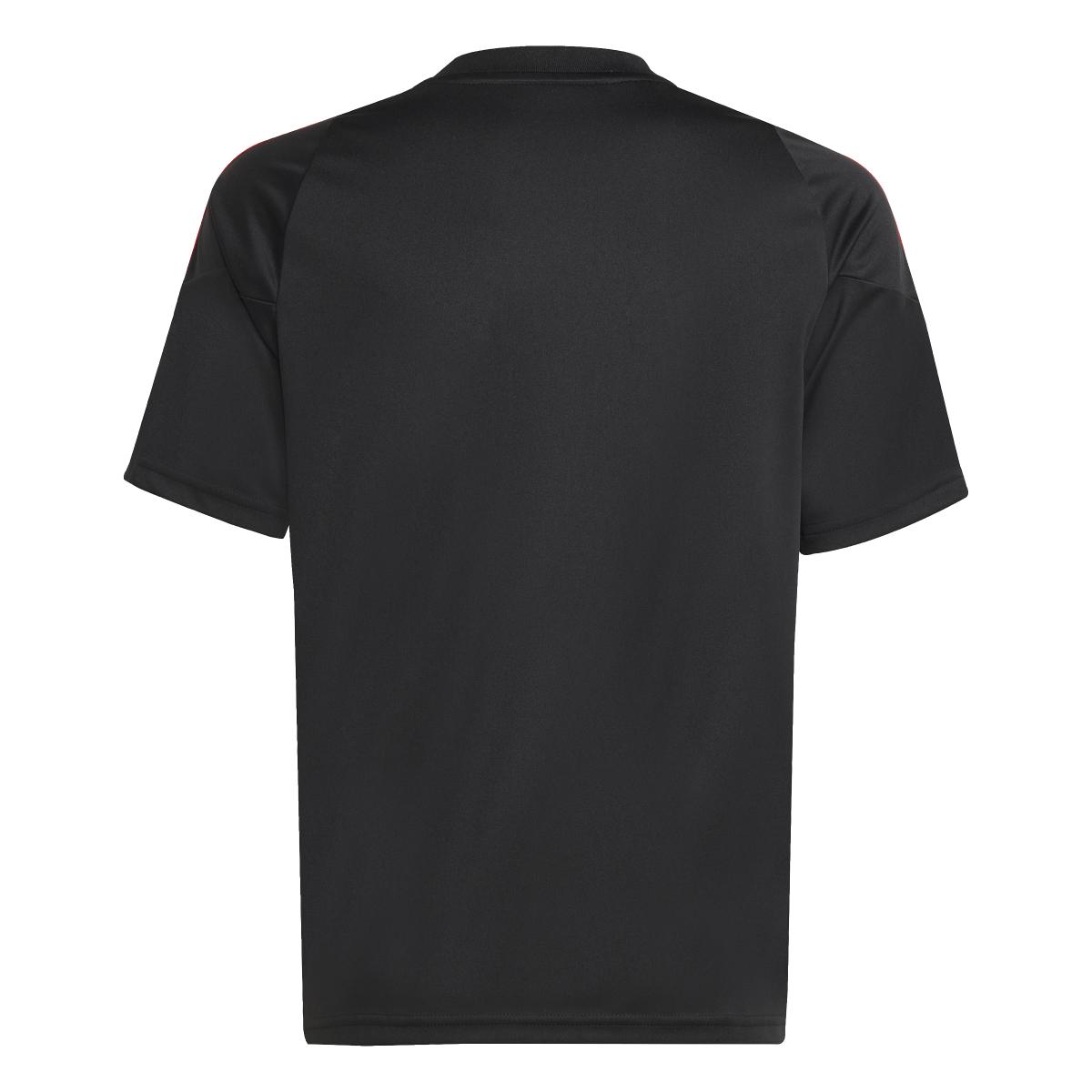 product/a/d/adidas_jp2496_black-purrub_2.jpg
