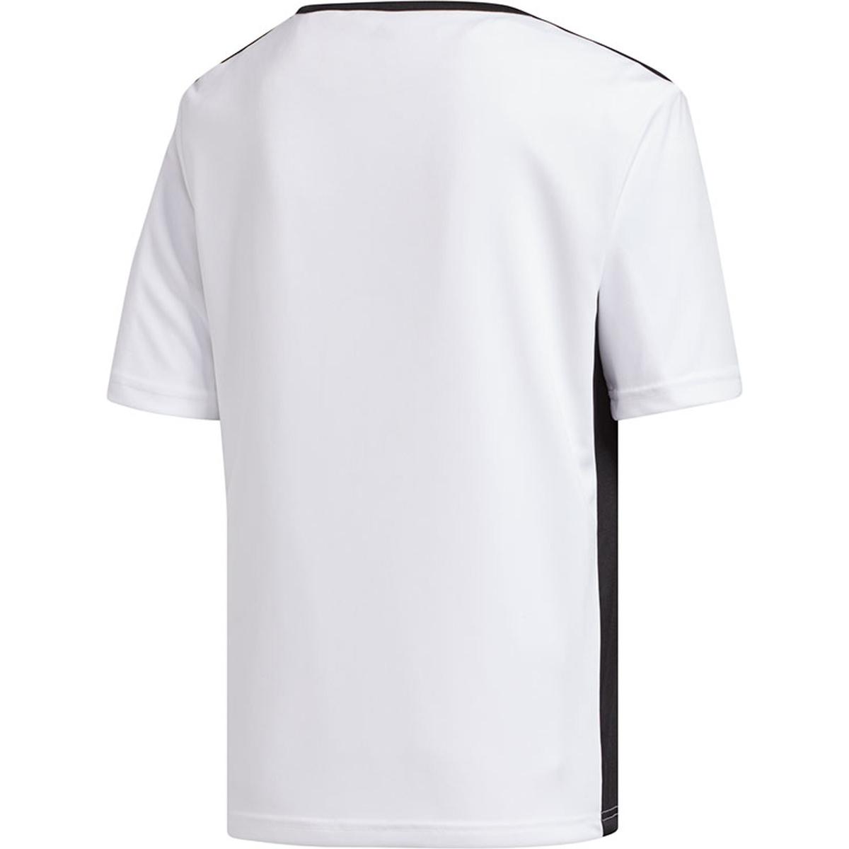 product/c/f/cf1044.jpg