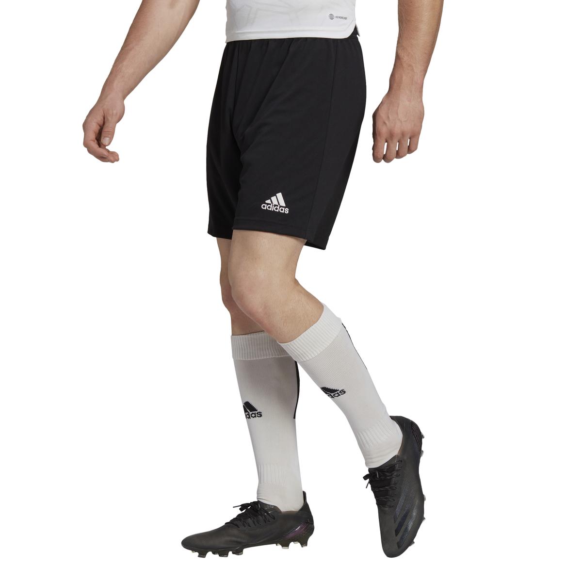 product/h/5/h57504_app_on-model_standard_white_1645108431.jpg