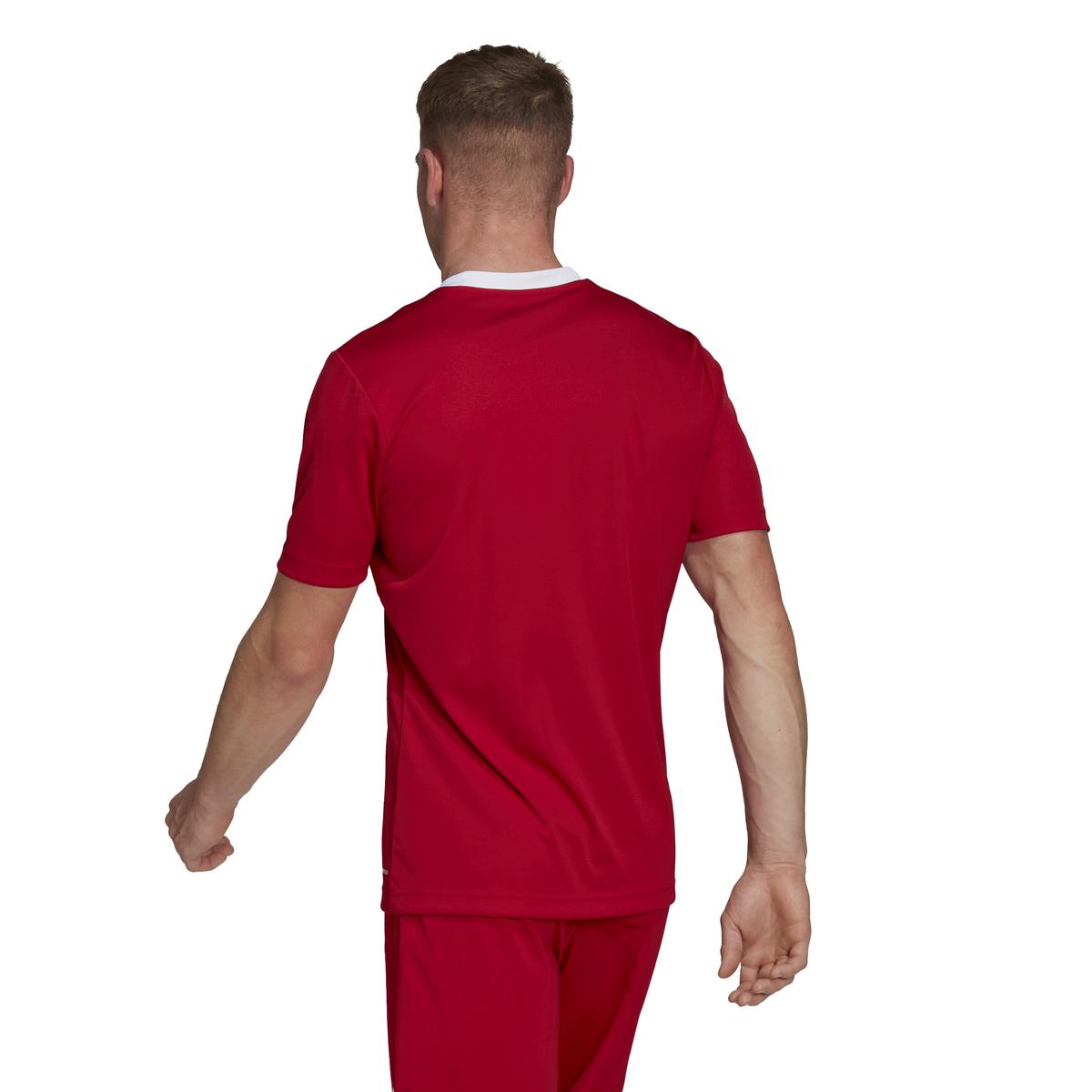 product/h/6/h61736_app_on-model_back_white_1645109434.jpg