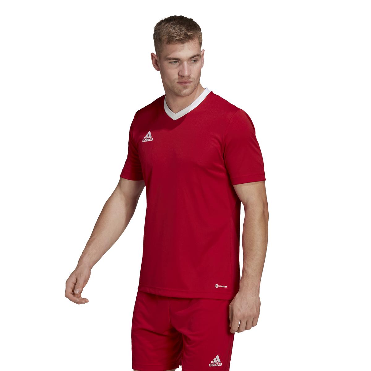 product/h/6/h61736_app_on-model_standard_white_1645110599.jpg