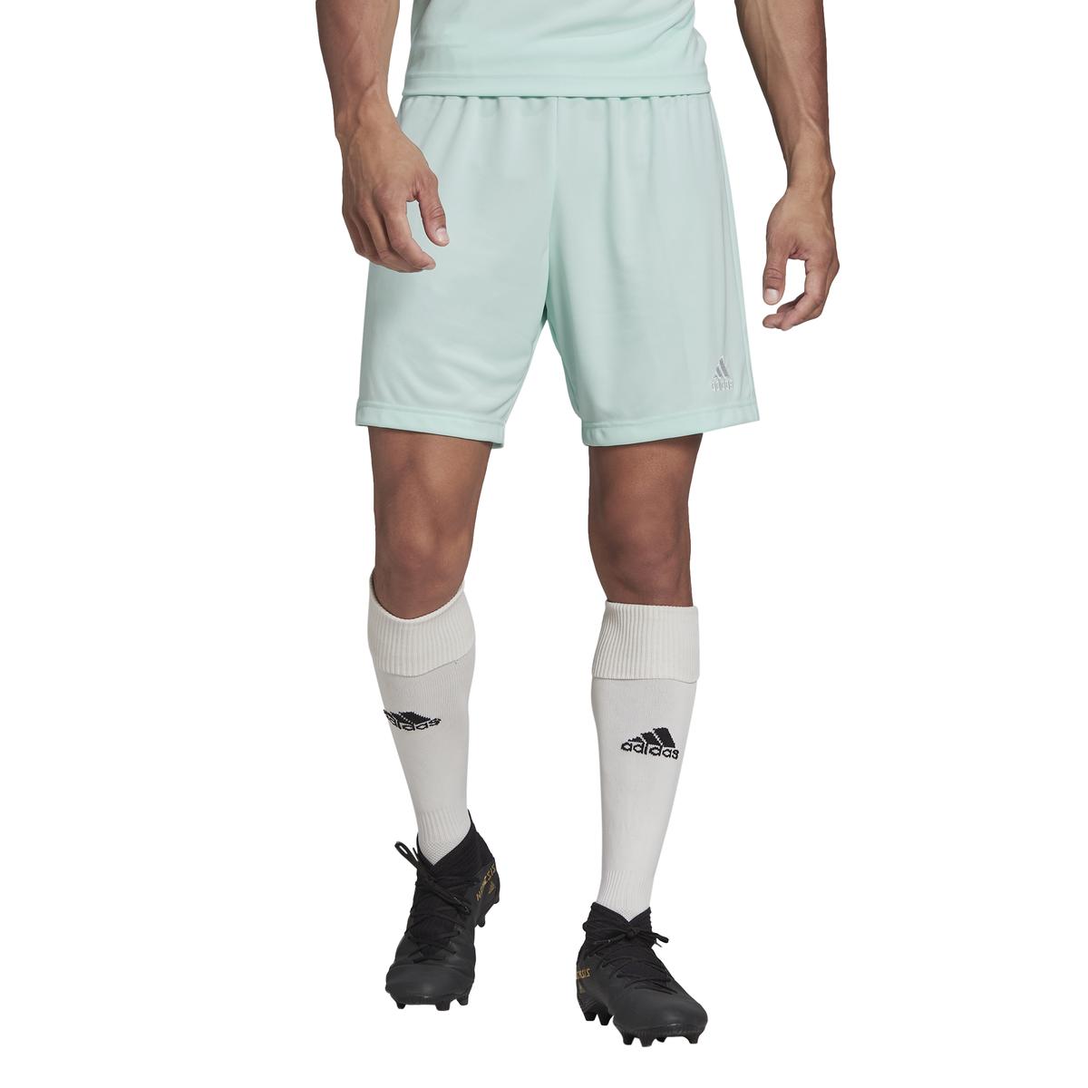 product/h/c/hc5051_app_on-model_standard_white_1645110653.jpg