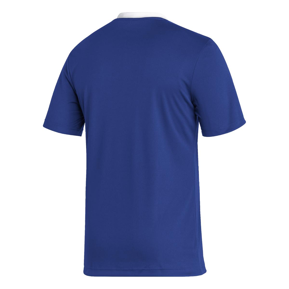 product/h/g/hg6283_app_virtual_back_white_1645110461.jpg