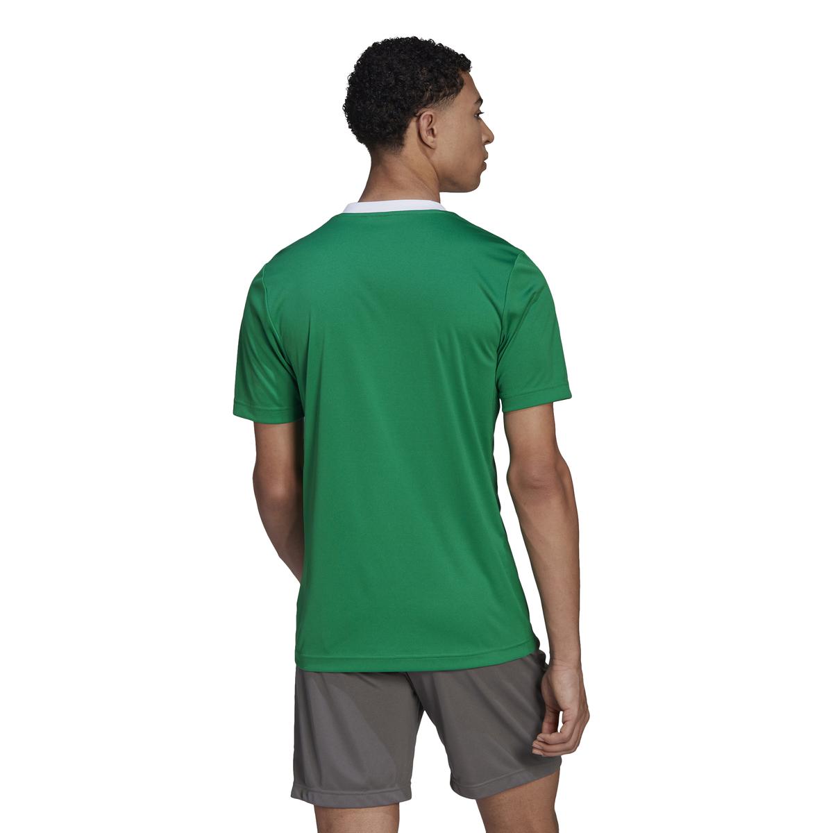product/h/i/hi2123_app_on-model_back_white_1645115805.jpg