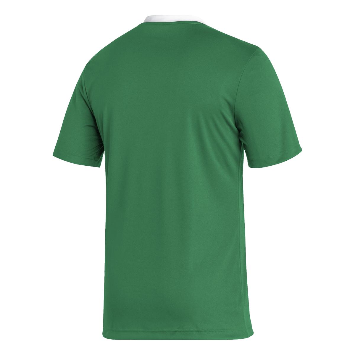 product/h/i/hi2123_app_virtual_back_white_1645111591.jpg