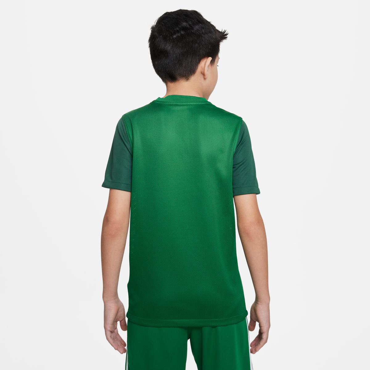 product/n/i/nike_dr0942-302-phsbm001-nw112724.jpg