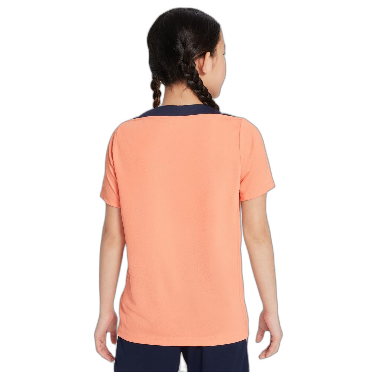 product/n/i/nike_hj3400-845_apricot-agate-obsidian-guava-ice_2.jpg
