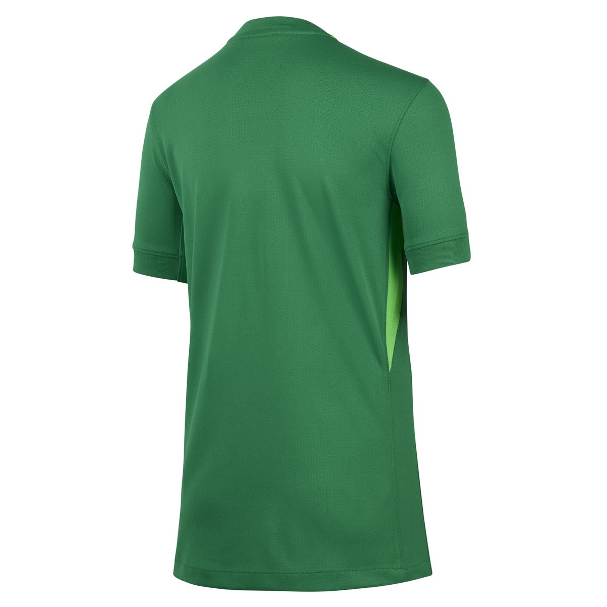 product/n/i/nike_if3959-310_lucky-green-green-strike-noir_1.jpg