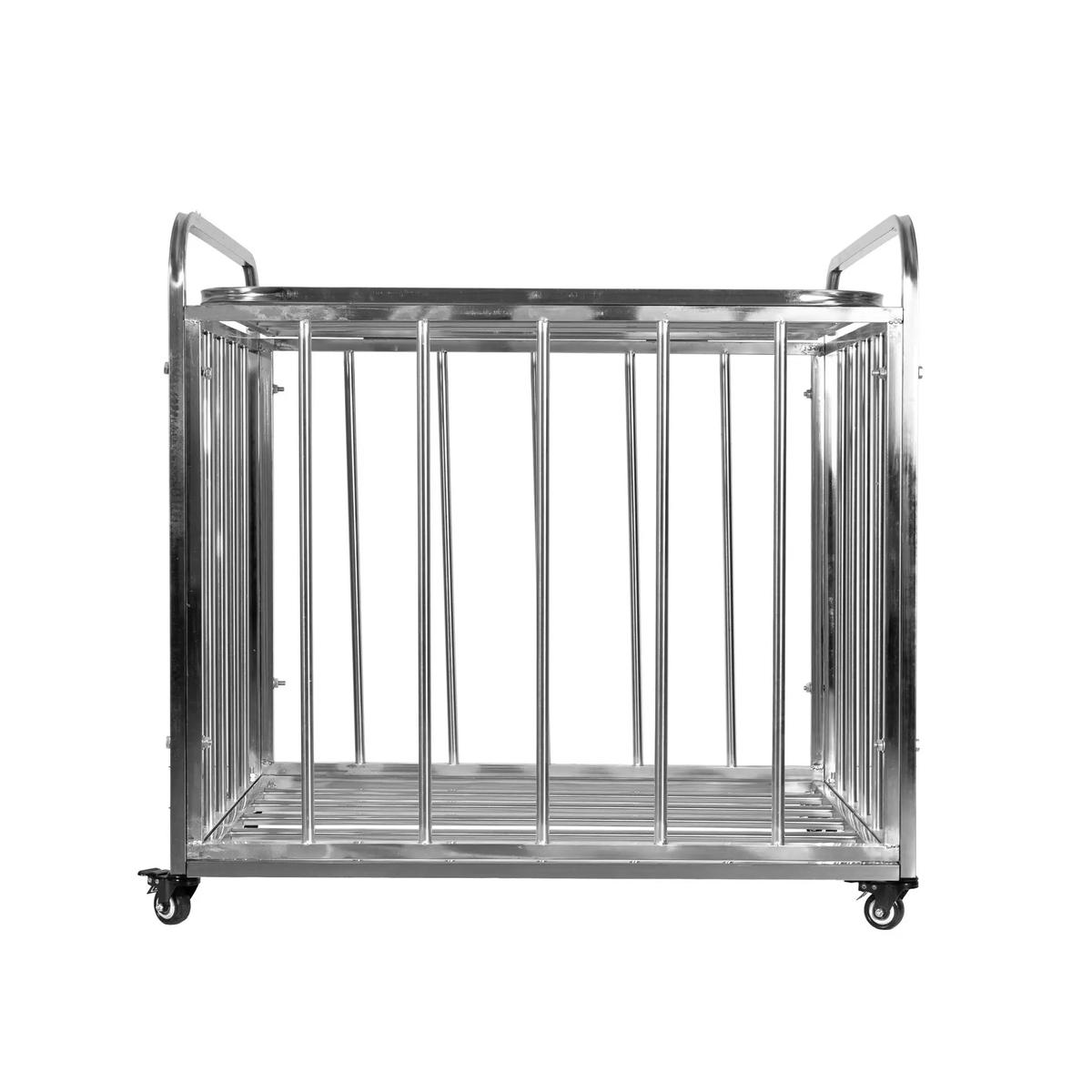 product/s/o/softee_a003486_argente_1.jpg