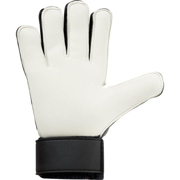 product/1/0/101128401_palm_600x600.jpg