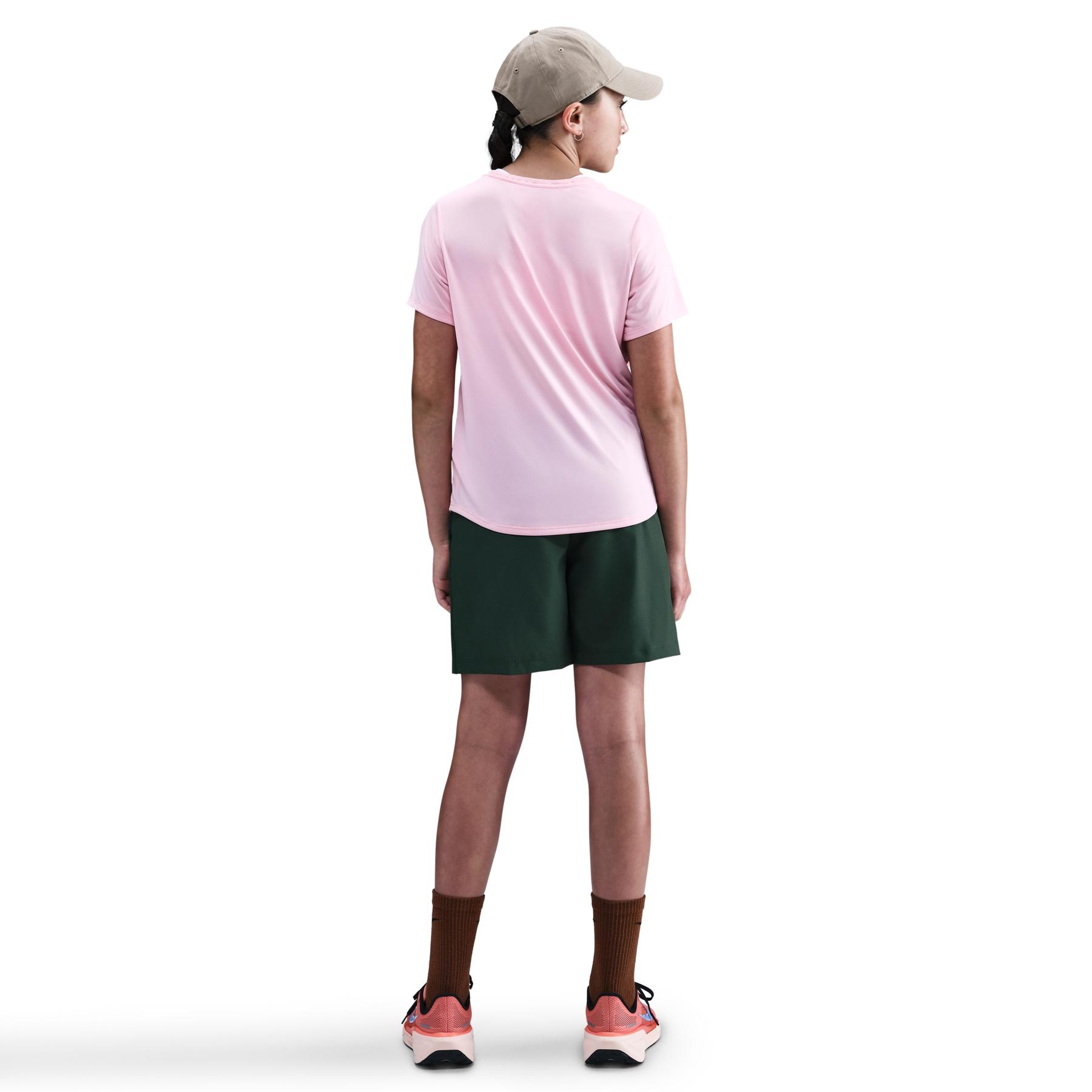 product/2/0/2025_08_nike_fz5600-690-phsbm001.jpg