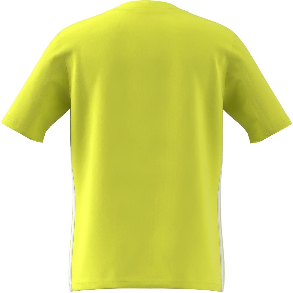 product/a/d/adidas_ib4936_7_apparel_zip_-_turntable_3d-5_white.jpg