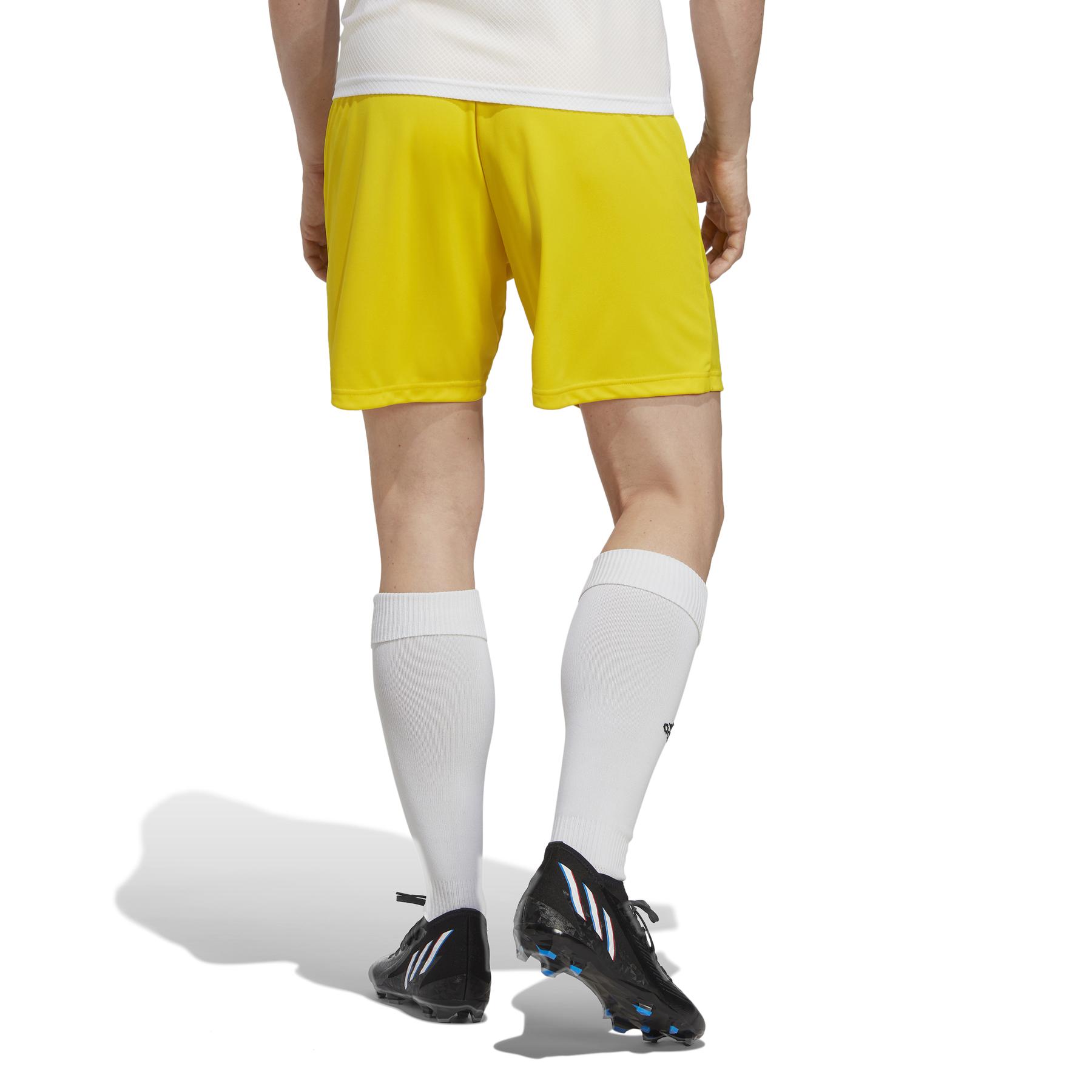 product/a/d/adidas_ic7404_4_apparel_on_model_back_view_white.jpg