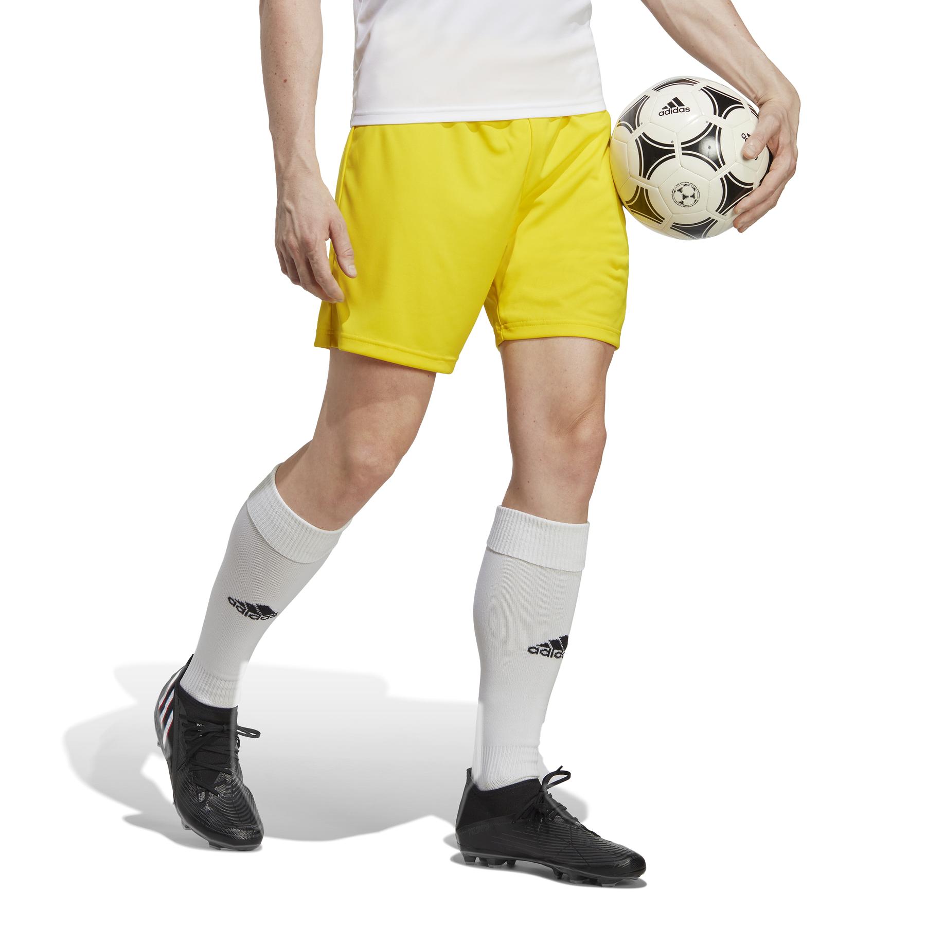 product/a/d/adidas_ic7404_5_apparel_on_model_walking_view_white.jpg