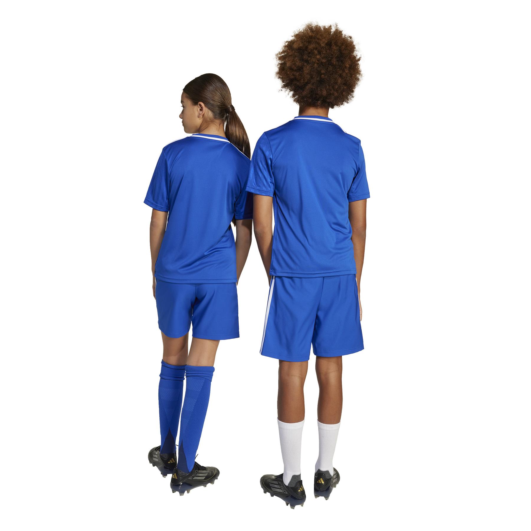 product/a/d/adidas_jn7174_royblu_8.jpg
