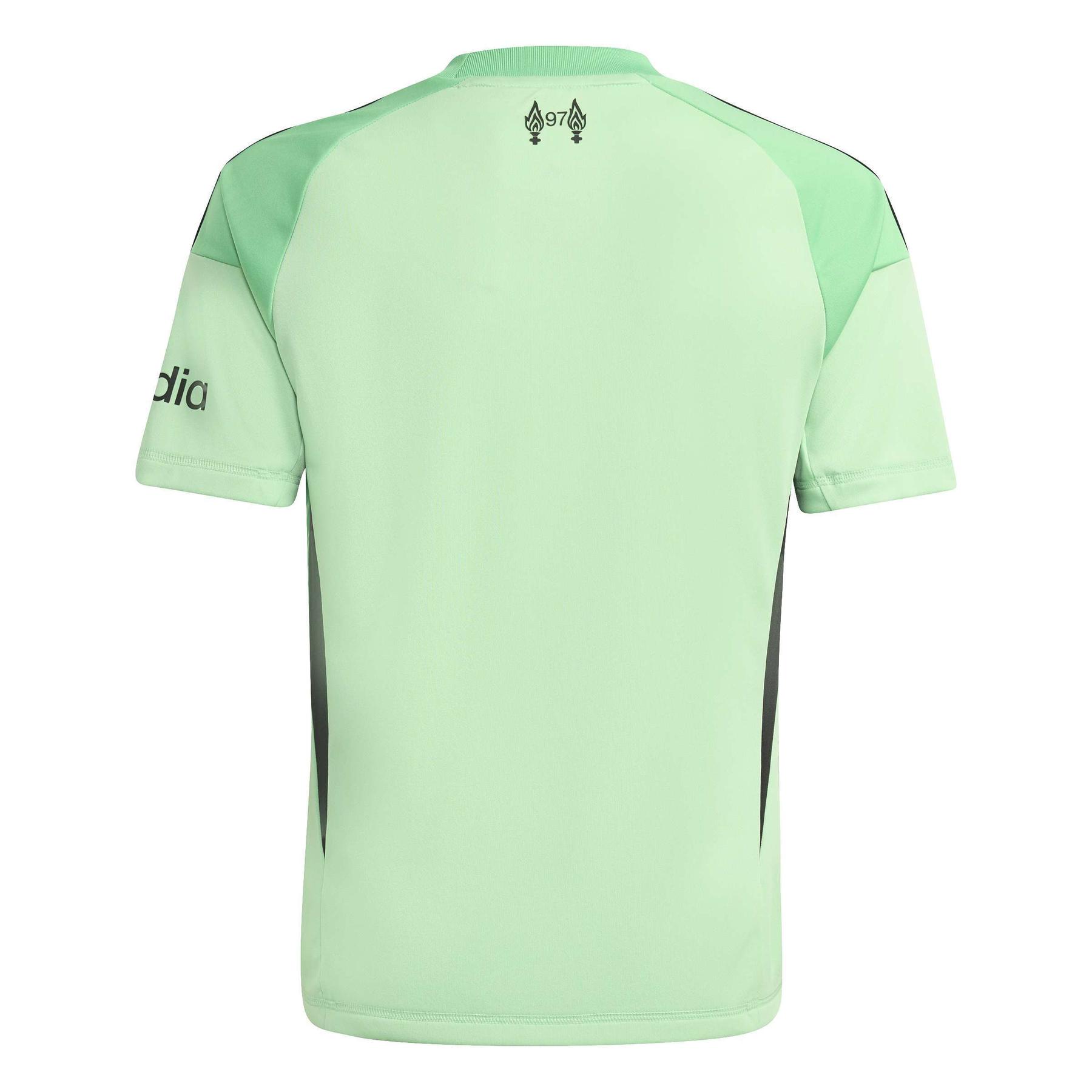 product/a/d/adidas_jz4089_2_apparel_photography_back_center_view_white.jpg