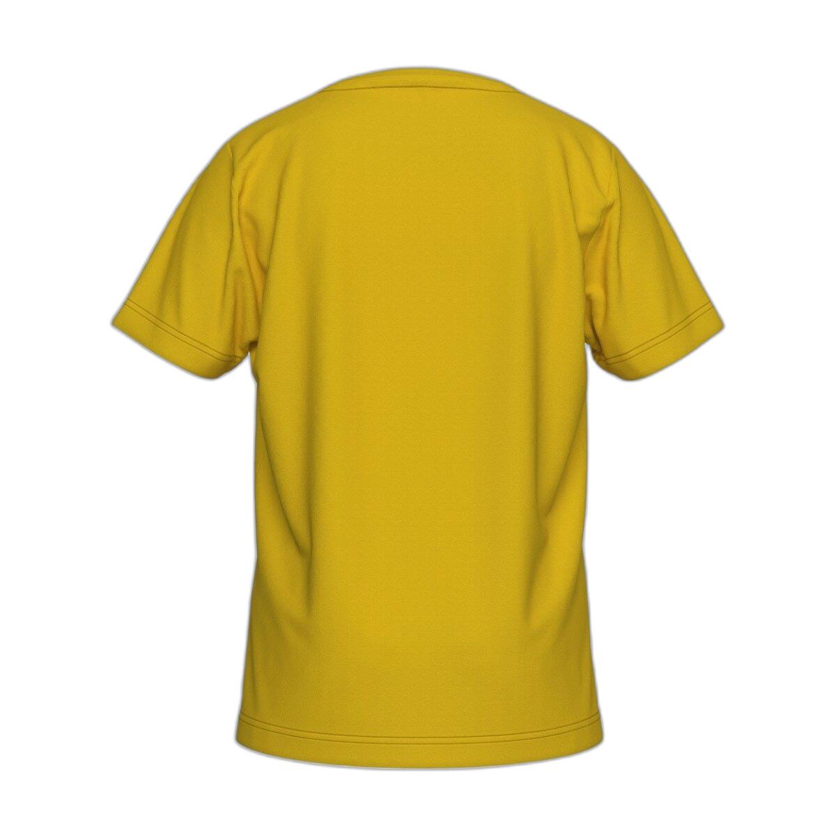 product/e/r/errea_gm1v1c00760_jaune-bleu_1.jpg