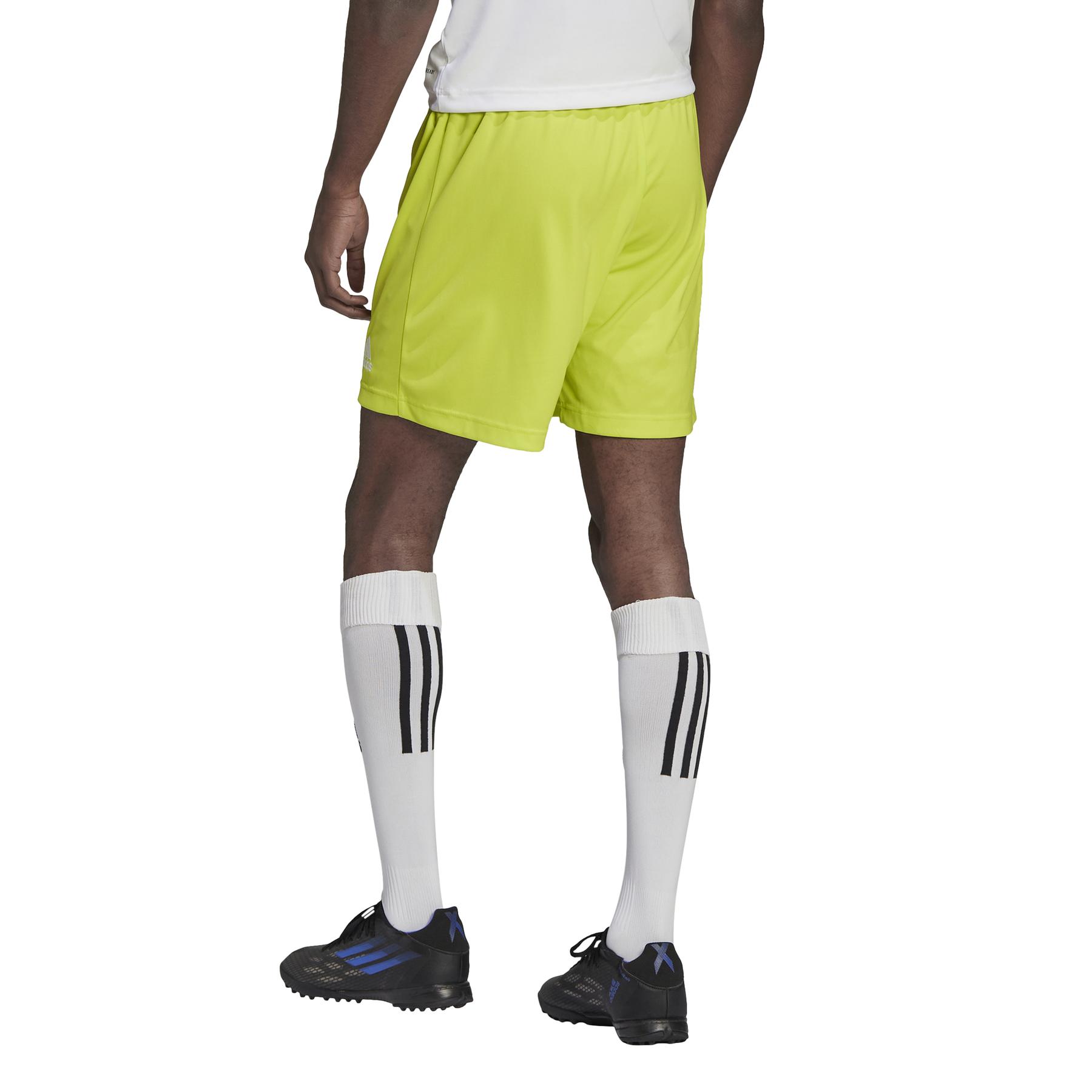 product/h/c/hc5061_app_on-model_back_white_1645109248.jpg