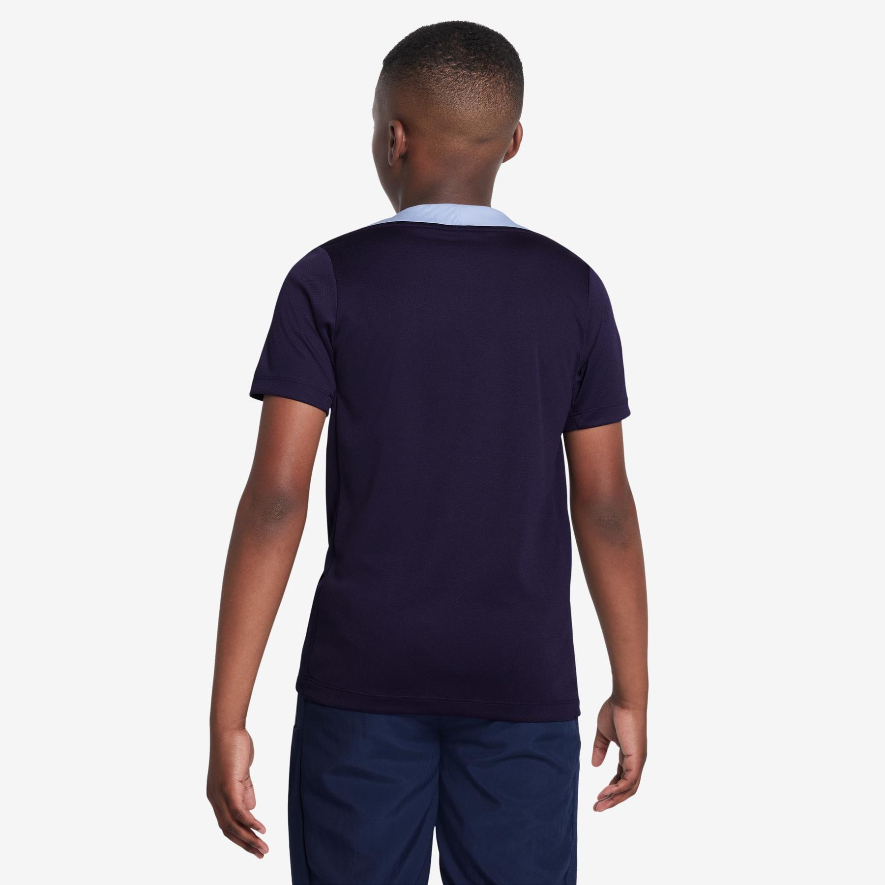 product/n/i/nike_fj3036-498-phsbm001.jpg
