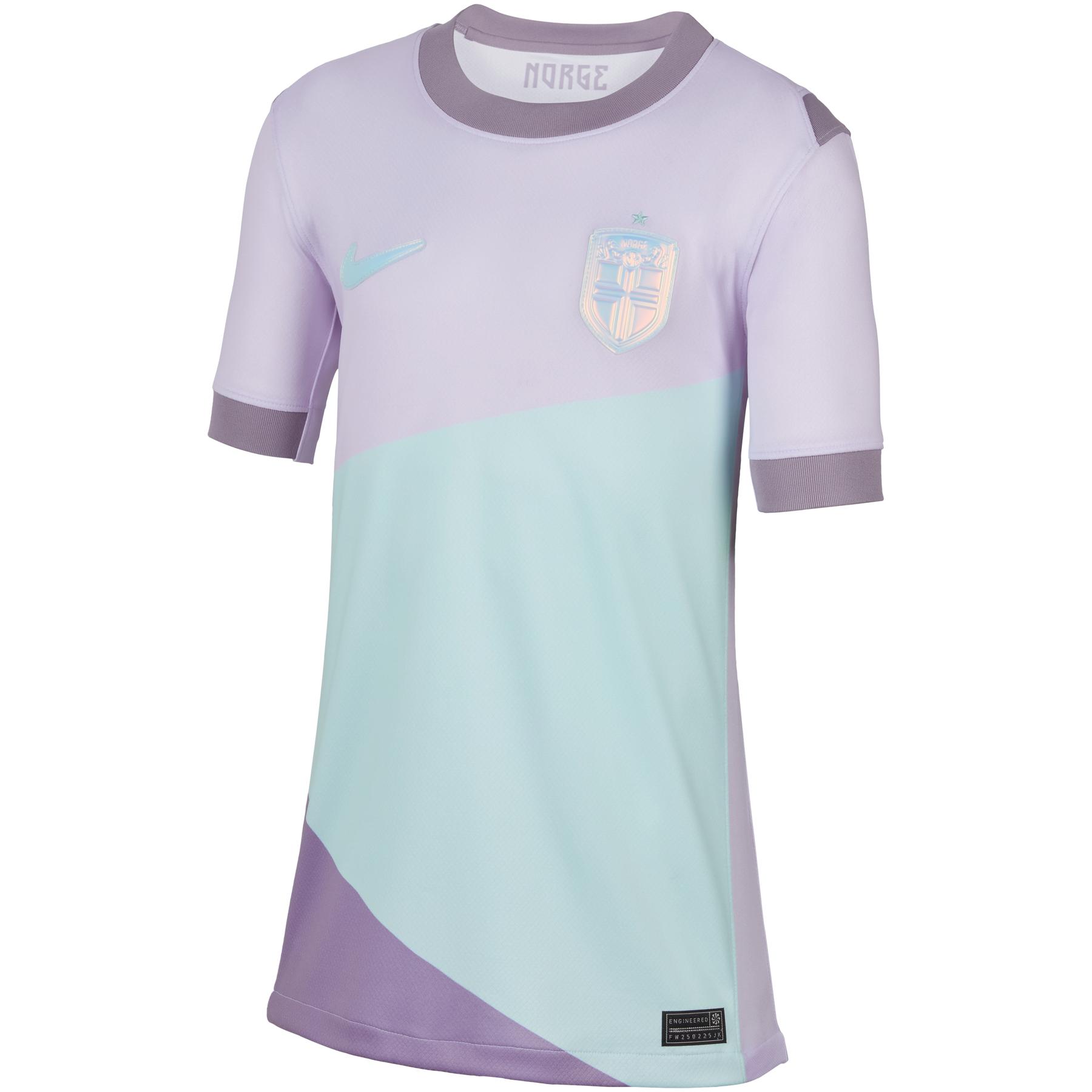 product/n/i/nike_fz9206-538-phsfh001.jpg