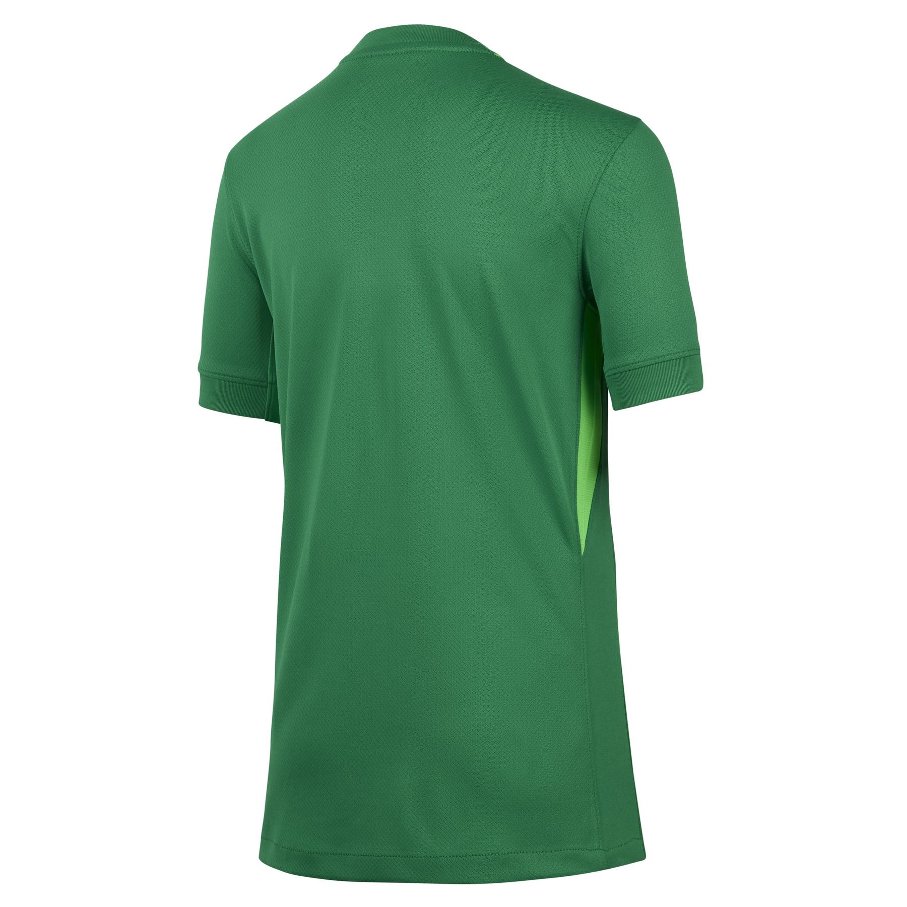 product/n/i/nike_if3959-310_lucky-green-green-strike-noir_1.jpg