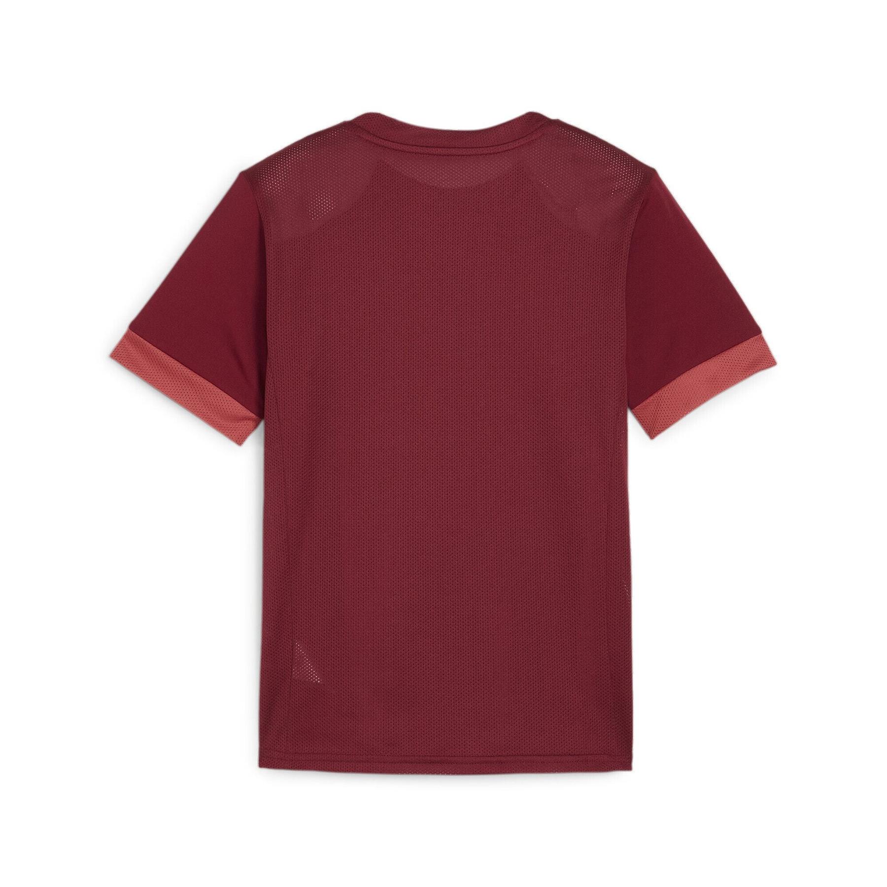product/p/u/puma_705748-09_rouge_2.jpg