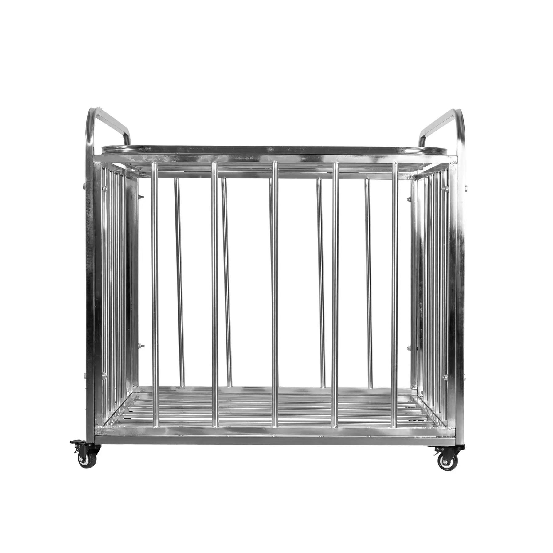 product/s/o/softee_a003486_argente_1.jpg