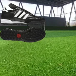 Foot à 5 - TF
