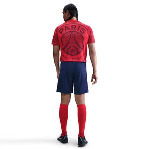 product/2/0/2025_nike_hj7150-658_3.jpg