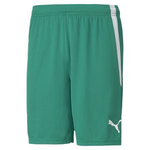704924-05-short-puma-team-liga-vert-sapin-blanc
