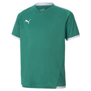 704925-05-maillot-enfant-puma-team-liga-vert-sapin-blanc
