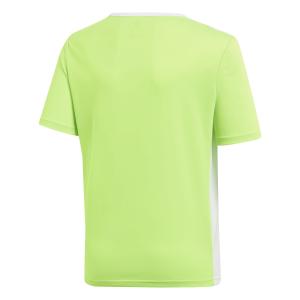 product/a/d/adidas_ce9755_3_apparel_photography_back_center_view_white-nw112824.jpg