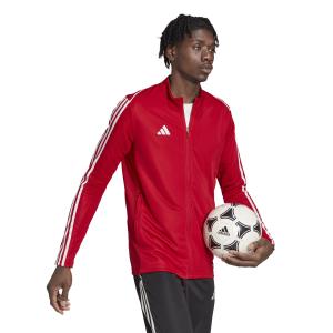 product/a/d/adidas_hs3502_6_apparel_on_model_walking_view_white.jpg