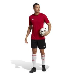 product/a/d/adidas_ht6552_8_apparel_on_model_standard_outfit_view_white.jpg