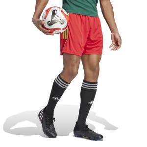 product/a/d/adidas_ib8090_5_apparel_on_model_walking_view_white.jpg