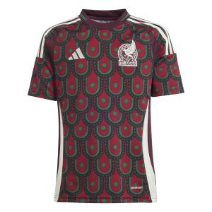 ip6364-maillot-domicile-enfant-mexique-copa-america-2024-multicolor