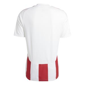 product/a/d/adidas_iw2142_3_apparel_photography_back_center_view_white-nw032624.jpg