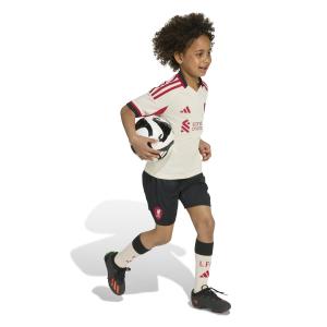 product/a/d/adidas_jv6455_8_apparel_on_model_walking_view_white.jpg