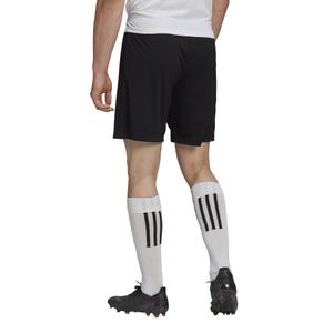 product/h/5/h57504_app_on-model_back_white_1645107326.jpg