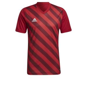 hb0572-maillot-adidas-entrada-22-graphic-rouge-rouge