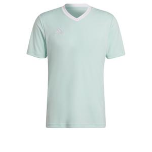 hc5073-maillot-adidas-entrada-22-vert-turquoise