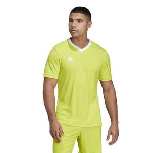 product/h/c/hc5077_app_on-model_standard_white_1645105741.jpg