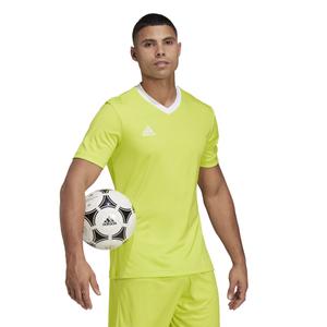 product/h/c/hc5077_app_on-model_walking_white_1645110996.jpg