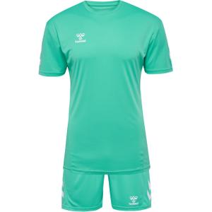 226151-6507-ensemble-t-shirt-plus-short-hummel-logo-vert